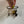Load image into Gallery viewer, Chappell Roan Charm Brooch - Albany and Avers