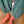 Load image into Gallery viewer, Le Bon Shoppe Her Socks - Albany and Avers