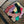 Load image into Gallery viewer, Le Bon Shoppe Her Socks - Albany and Avers